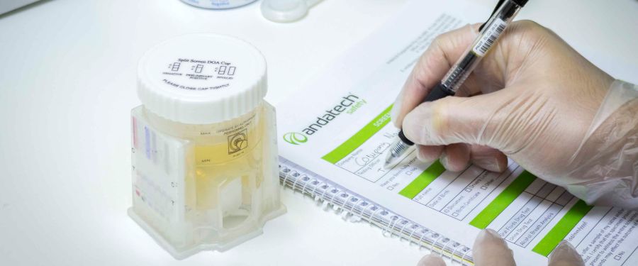 Pre-employment drug testing: Screening candidates for a drug-free workplace