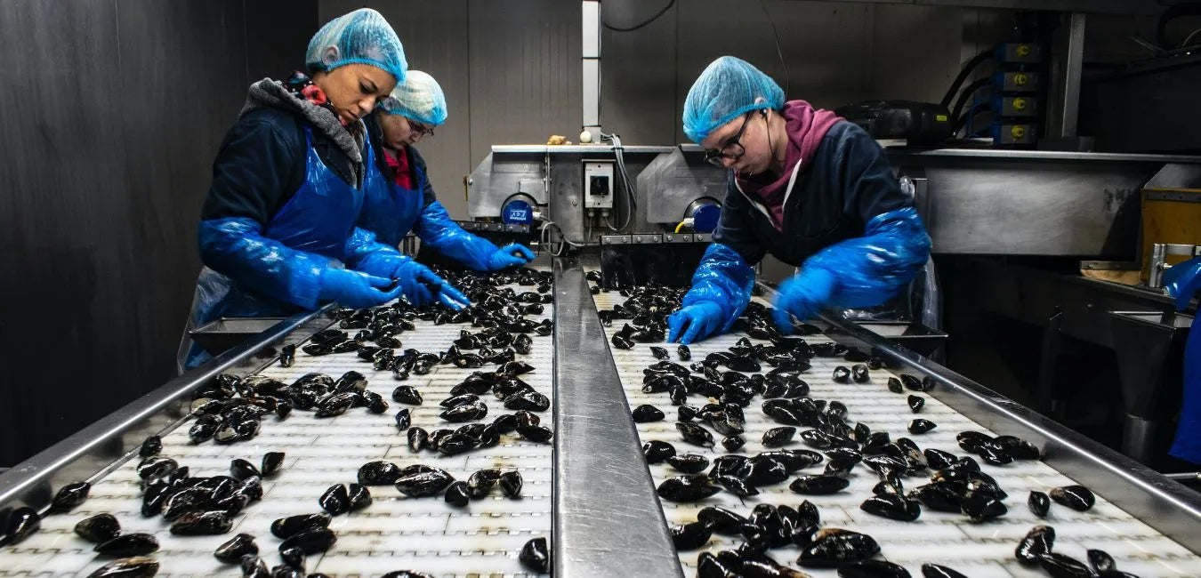 Drug and alcohol testing in the food industry