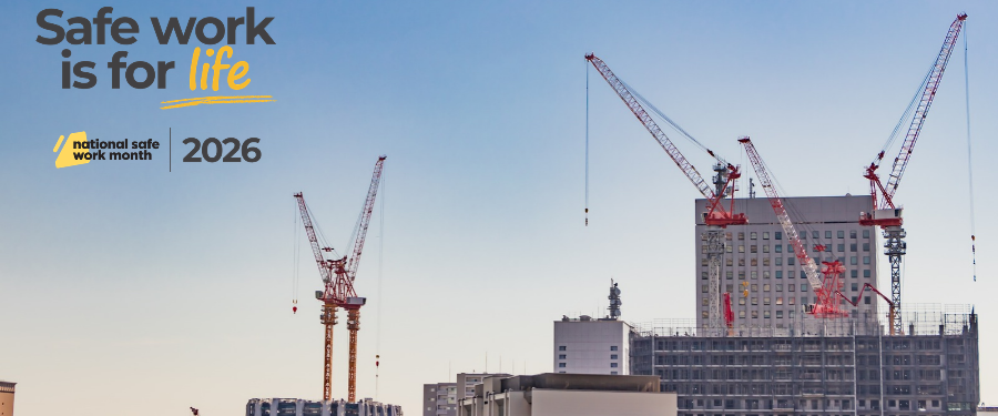 Why WHS Matters in Every Workplace