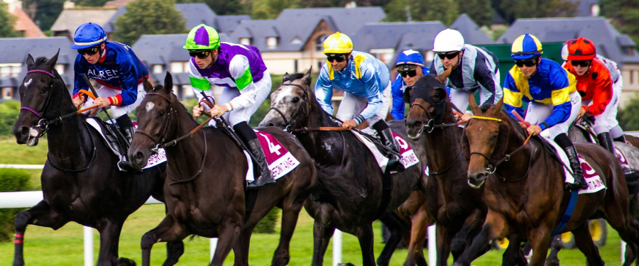 The Spring Racing Carnival Survival Playbook