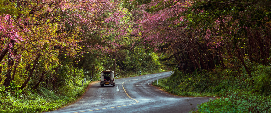 How Changing Seasons Affect Roads: Navigating Spring Hazards