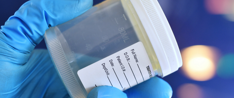 The Beginner’s Guide to Chain of Custody in Workplace Drug Testing