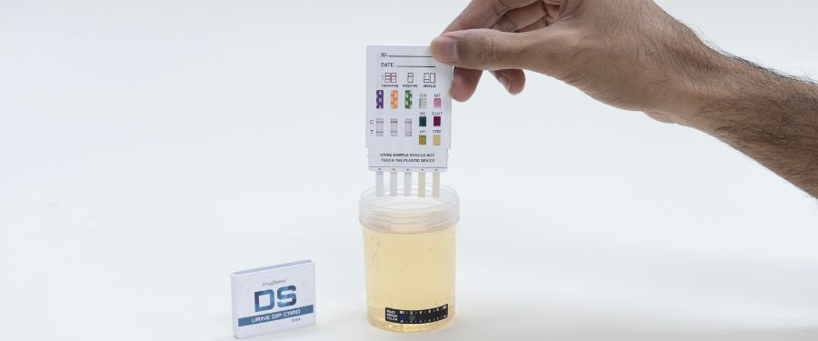 Common Workplace Drug Testing Myths Explained